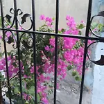 Casa Magnolia Boutique ホテル *