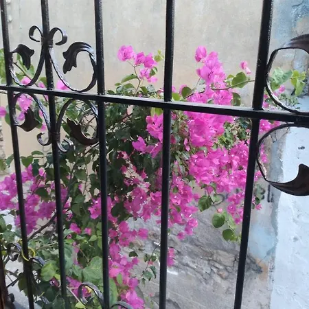 Casa Magnolia Boutique Hotel *