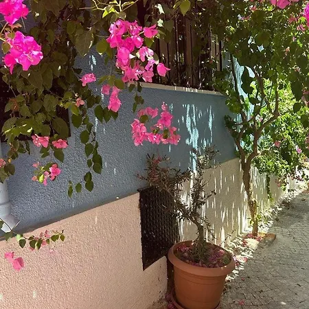 Casa Magnolia Boutique ホテル *