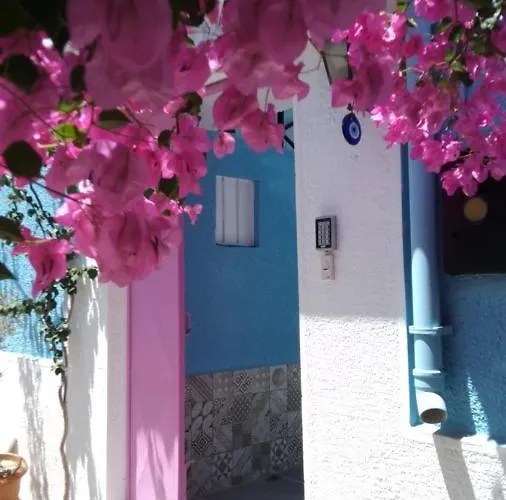 Casa Magnolia Boutique