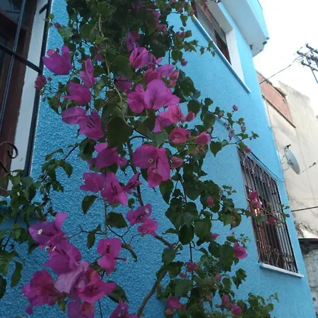 Casa Magnolia Boutique *