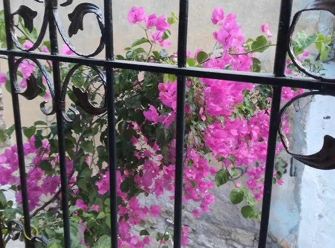 Casa Magnolia Boutique Hotel *