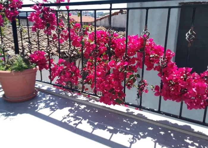 Casa Magnolia Boutique