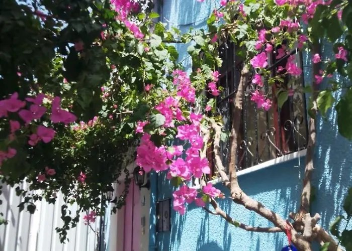 Hotel Casa Magnolia Boutique Kusadası