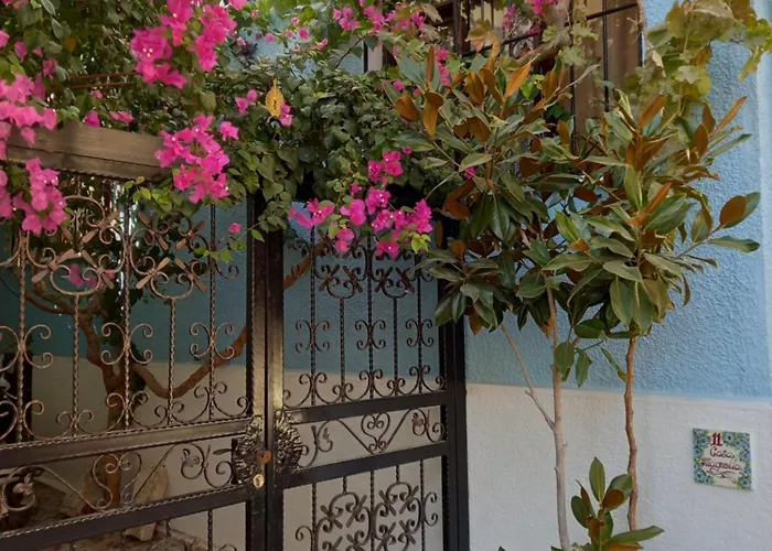 Casa Magnolia Boutique Hotel