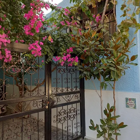 Casa Magnolia Boutique Hotel