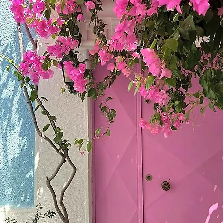Casa Magnolia Boutique *