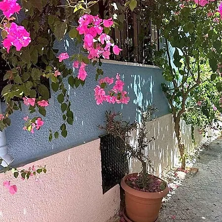 Casa Magnolia Boutique