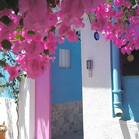 Casa Magnolia Boutique