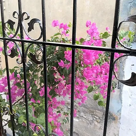 Casa Magnolia Boutique *