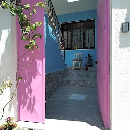 Casa Magnolia Boutique