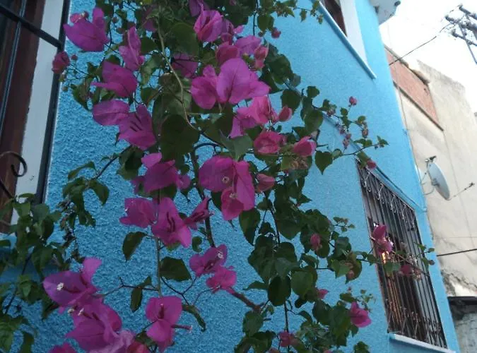 Casa Magnolia Boutique *