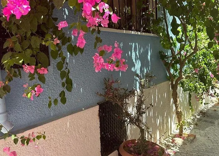 Casa Magnolia Boutique Hotel *